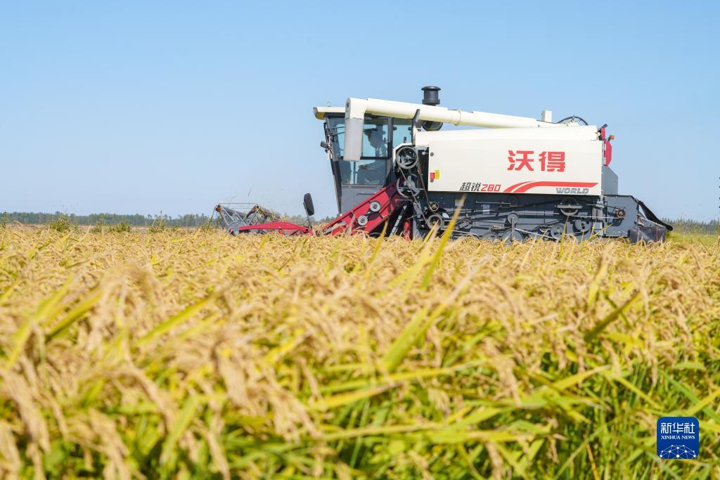 美高梅网址